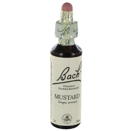 Fleurs de bach : moutarde 20ml