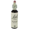 Fleurs de bach : moutarde 20ml