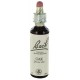 Fleurs de bach : chene 20ml
