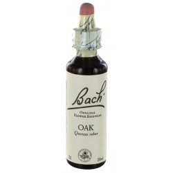 Fleurs de bach : chene 20ml