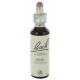 Fleurs de bach : pin sylvestre 20ml