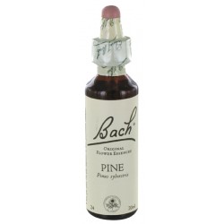 Fleurs de bach : pin sylvestre 20ml