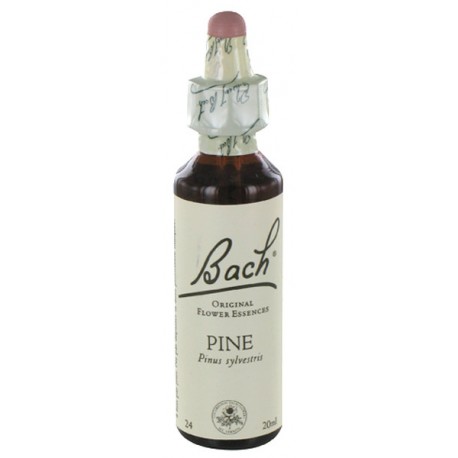 Fleurs de bach : pin sylvestre 20ml