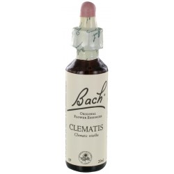 Fleurs de bach : clematite 20ml