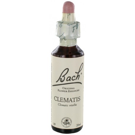 Fleurs de bach : clematite 20ml
