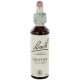 Fleurs de bach : bruyere 20ml