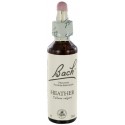 Fleurs de bach : bruyere 20ml
