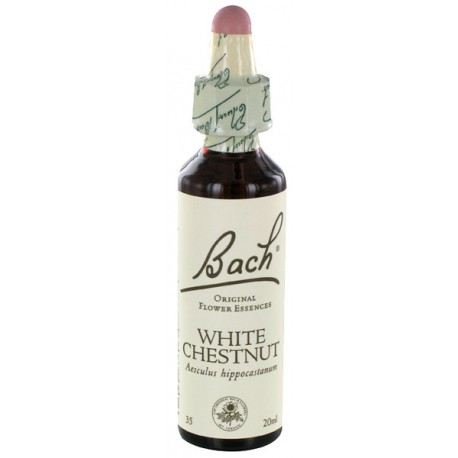 Fleurs de bach white chestnut : serenite mentale 20ml