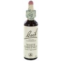 Fleurs de bach white chestnut : serenite mentale 20ml