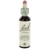 Fleurs de bach white chestnut : serenite mentale 20ml
