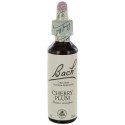Fleurs de bach : prunus 20ml