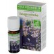 Huile essentielle de sauge sclaree bio 10ml