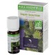 Huile essentielle de sapin baumier bio 10ml