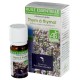 Huile essentielle de thym thymol bio 10ml