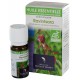 Huile essentielle de ravintsara bio 10ml