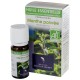 Huile essentielle de menthe poivree bio 10ml
