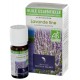 Huile essentielle de lavande fine bio 10ml