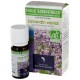 Huile essentielle de lavandin abrial bio 10ml