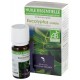 Huile essentielle d'eucalyptus radiata bio 10ml