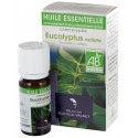 Huile essentielle d'eucalyptus radiata bio 10ml