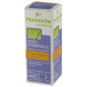 Huile essentielle de thym vulgaire 5ml