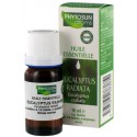 Huile essentielle eucalyptus radiata 10ml