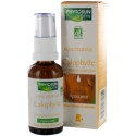 Huile végétale calophylle peaux seches/abimees 30ml