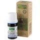 Huile essentielle bio basilic 5ml